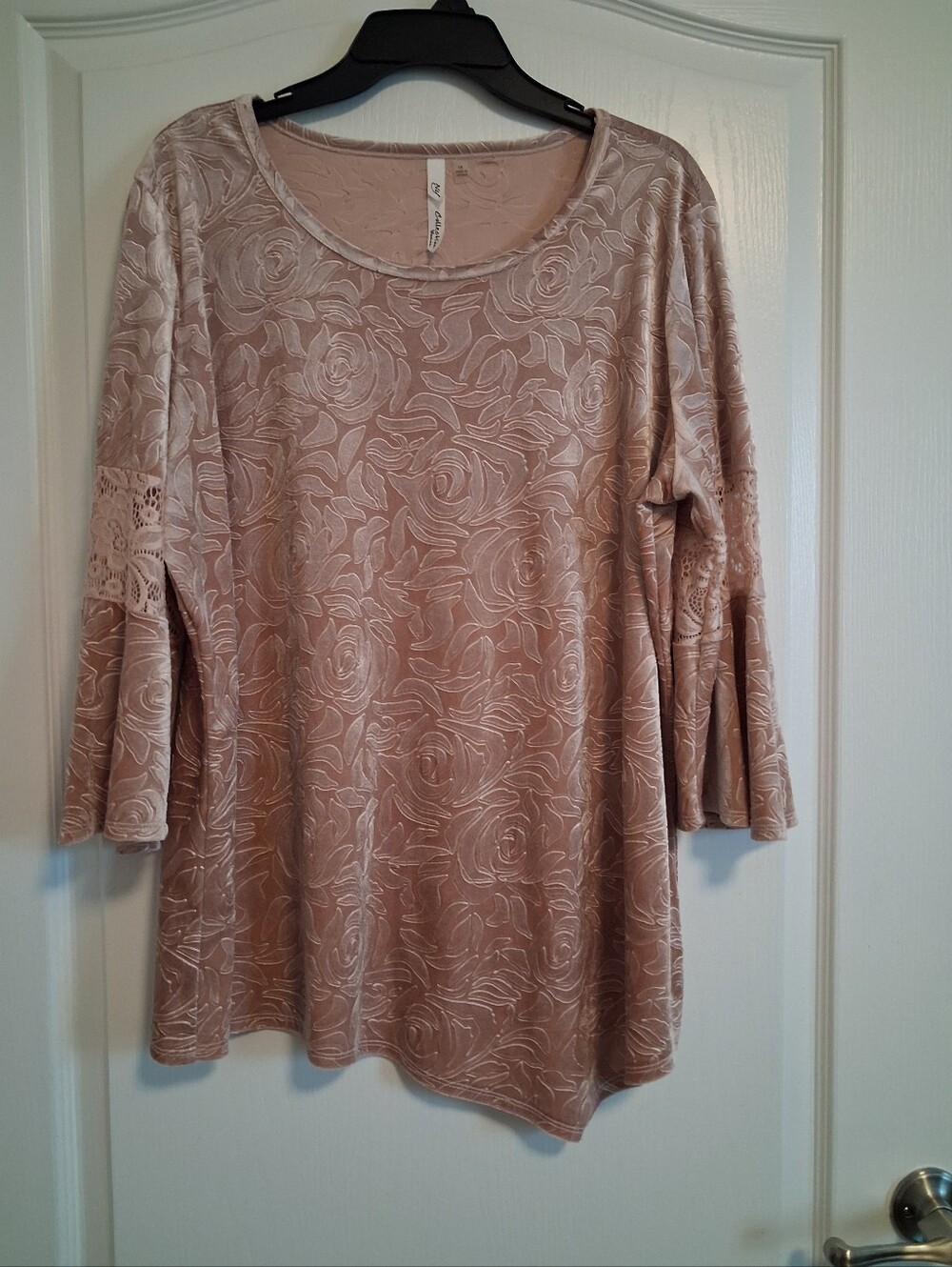 Women's Blush Rose-Print Lace-Sleeve Long Sleeve Top